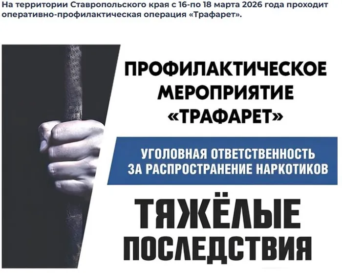 Снимок экрана 2026-03-12 113502